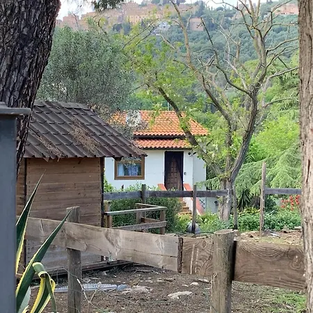 Affittacamere La Stanza Di Campagna Campiglia Marittima