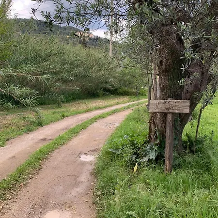 La Stanza Di Campagna Affittacamere
