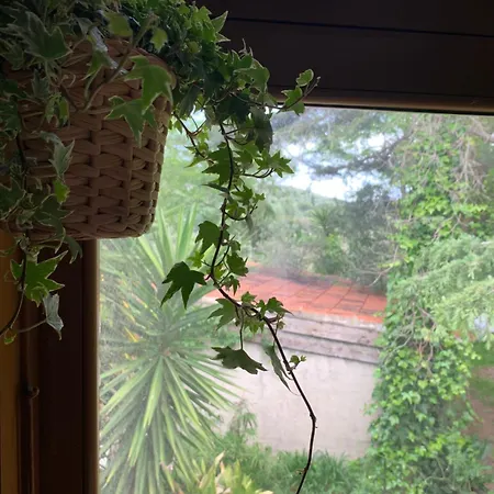 La Stanza Di Campagna Gasthof Campiglia Marittima