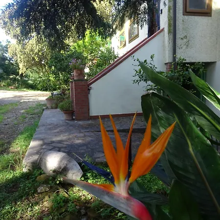 La Stanza Di Campagna Guest house Campiglia Marittima